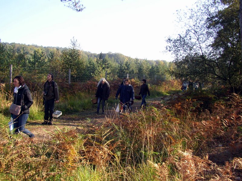 Mares au vinaigre 04